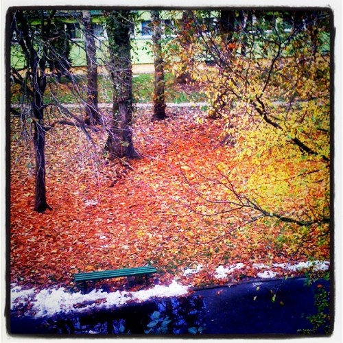 It looks like winter&rsquo;s gone &hellip; at least for a while #beautiful #iphone #iphoneon