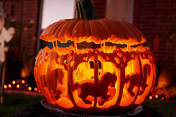 Omgosh a carousel pumpkin?! *swoon*