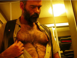 Hairy dad tweaking his horny nipples