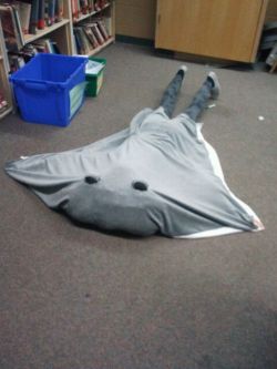 sherkhanlock:   dream-a-little-disney:  bordering-on-beautiful:  mall0mars:  youalrightfreddy:  This is my teacher right now.  Is your teacher a sting ray  THE TEACHER FROM FINDING NEMO.  LETS NAME THE ZONES, THE ZONES, THE ZONES, LETS NAME THE ZONES