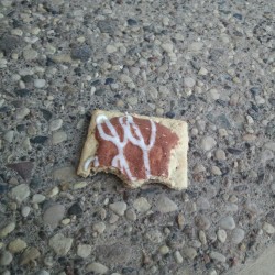 Discarded Poptart!? A crime punishable by