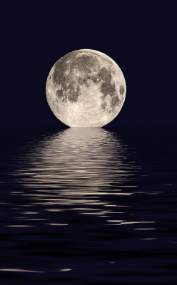 0rient-express:  Harvest moon (by Vab2009).