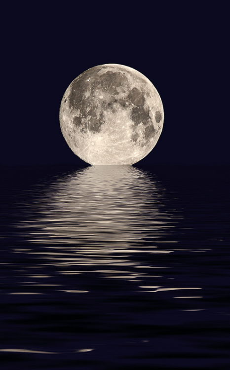 0rient-express:  Harvest moon (by Vab2009). 