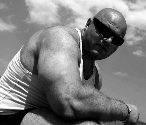 insanekss:  damn!justbulls:  Massive Bull