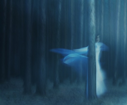 Nice night for a walk in the woods &hellip;