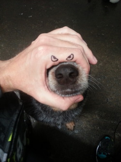 The dog wanted to be something scary for