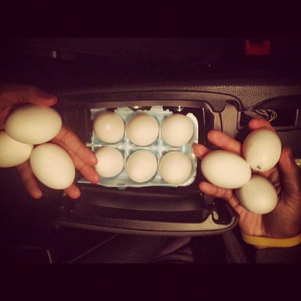 Drive by egging!!!! #haloweeny #fuckukids
