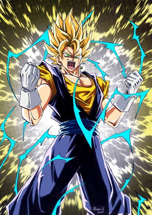 Tenkaichi Budokai