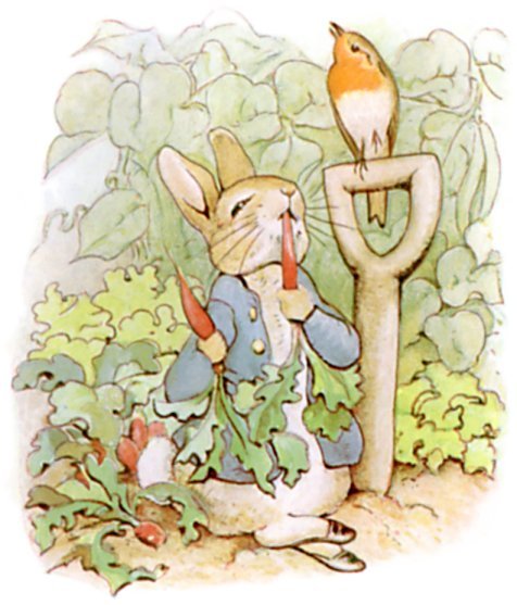 Beatrix Potter (1866 – 1943)Some of my favourite illustrations from English author best known for he