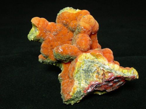 Picrophamacolite, Orpiment and Realgar