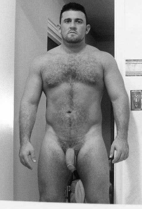 NH Muscle Bear