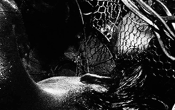  301/365 - Tetsuo: The Iron Man | 1989Dir Shinya Tsukamoto     