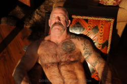 Bears, Daddy, Handsome Older Man, Mature Man