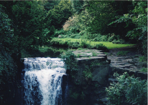 aegritudo:  Jesmond Dene by MattyLawson on Flickr.