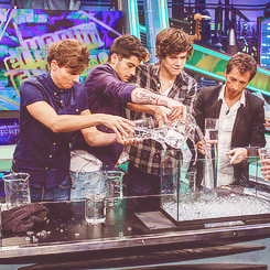 EVERYTHING IS ONE DIRECTION & NOTHING HURTS