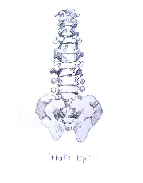 goldenbrownfinertemptress: echte: omg its back no thats the point its a spine not a back