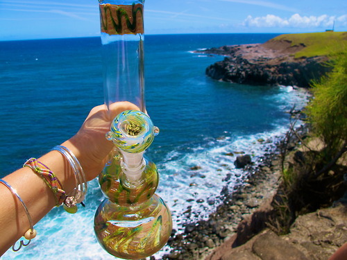 maconha:  Em busca da paz… 