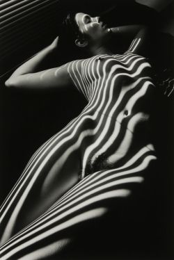 Howsaucy:  Lucien Clergue, Nu Zébré Avec Tête1998, New York  From Modernisminc