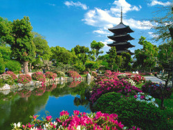 kelledia:Toji temple; Kyoto, Japan.