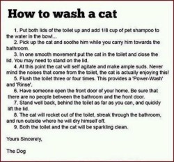 lol-post:  How to wash a cathttp://lol-post.tumblr.com/  Read this out loud and my brother just walked silently off with my floofy, Calypso. I think I need to save my cat now.