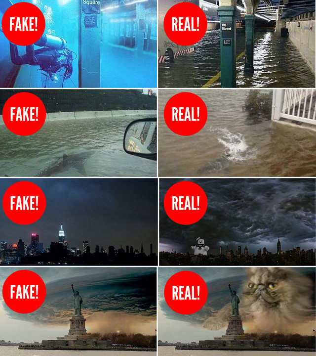 Photos of Sandy’s Destruction: REAL or FAKE?
Countless photos documenting Hurricane Sandy’s wrath are circulating the Internet. Some are amazing. Many are heartbreaking. This guide will help you decipher which are real and which are fraudulent.