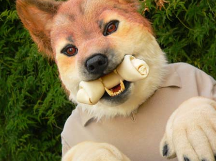 slutpasta:  kiwi-spookypaws:  thepirateking:  fertiliser:  how do people think fursuits