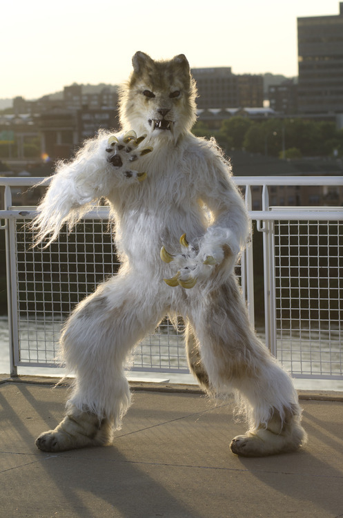 kiwi-spookypaws:  thepirateking:  fertiliser:  how do people think fursuits are ‘dumb’ and for ‘furfags’ when you have people who make things like this and this this this wow shit look at this WOW?? wOW AND THIS YEA..FURSUITS ARE TOTALLY GAY..