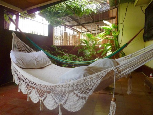 XXX coconut-blisss:  kiwi-bliss:  x  ❁ tropical photo