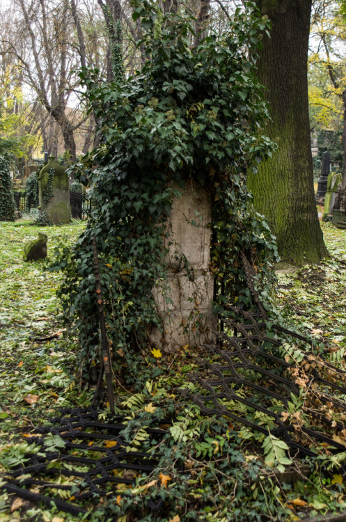 Olšany Cemetery Prague, Czech Republic (by boobass)