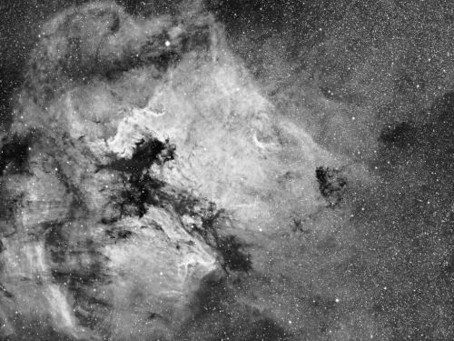 galaxyshmalaxy:  North American Nebula in Ha (by vetenskapsman) 