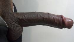 mr10inches:  long n strong  My wife needs to learn the pleasure she can get from a nice stiff BBC filling her pussy and stretching it to its limit.