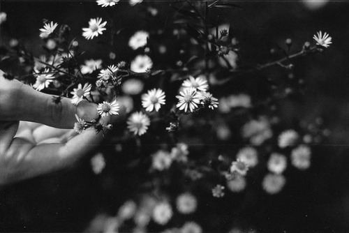 Hopeless Wanderer