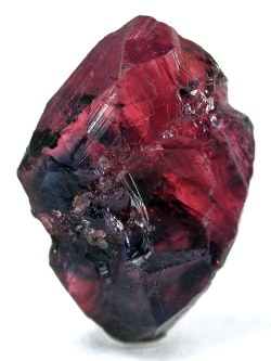 lonequixote:  Ruby from Tanzania 