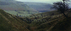 a place both wonderful and strange