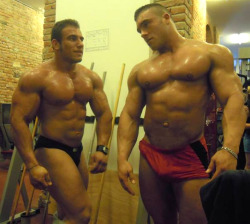 supervillainl:  Pair of hunky meaty men.