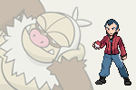 kingdraa:Hoenn Gym Leaders