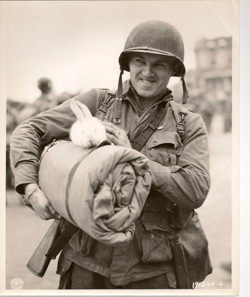 Soldier Returns From France With Rabbit Mascot 