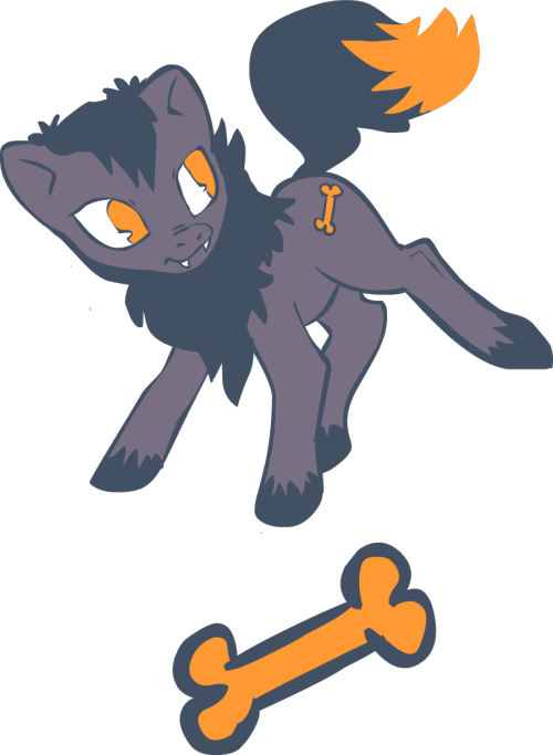PONYFOLIO