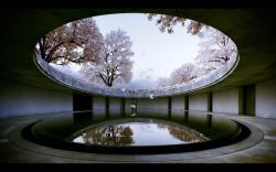 consepts:  ventilatorroom:  Naoshima Contemporary Art Museum by Tadao Ando  truly a masterpiece, a work of art. 