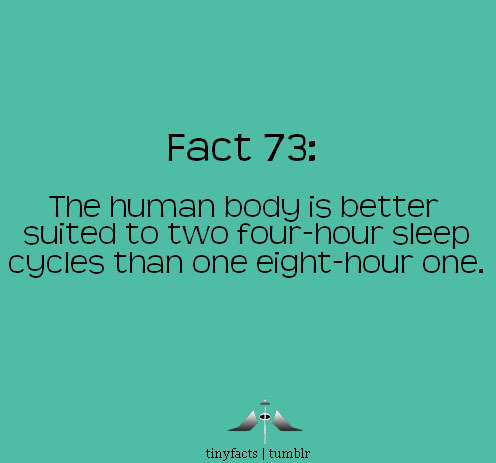 tinyfacts:  The human body is better suited to two four-hour sleep cycles than one eight-hour one “Every 60-100 minutes we go through a cycle of four stages of sleep Stage 1 is a drowsy, relaxed state between being awake and sleeping - breathing slows,
