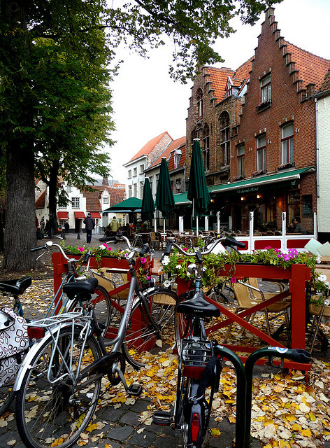 Fallen leaves in Bruges, Belgium (by fede_gen88).