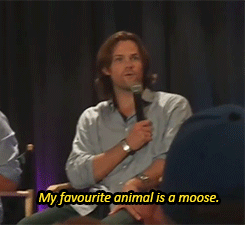 livin-on-lestrudle-lane:  thesockmonkeyrenegade:  JARED MADE THAT SAME FACE AT ME WHEN I BLURTED OUT THE MOTHER EFF WORD REALLY LOUD HOLD CRAP DYING  I love how shit scared Misha looks. Like he just said that he likes ponies and this sweet little girl