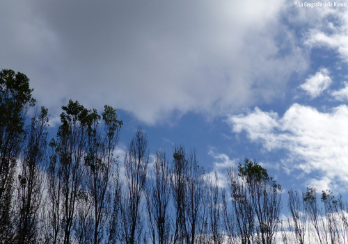 # L'ALTRA MET DEL CIELO