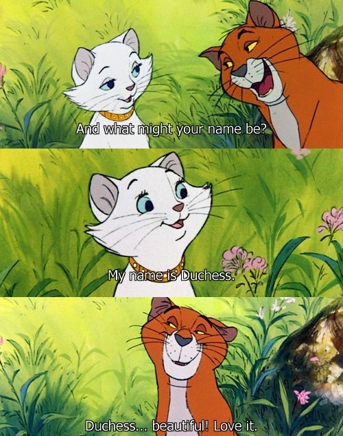 aristocats quotes