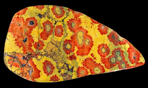 Poppy Jasper 