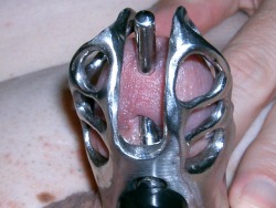 johnlovesbeinglocked:  My wife told me to get a Prince Albert piercing, which I did.  4 weeks later she told me to take off my Captive Bead and to lie on the bed.  She tied me up and blindfolded me.  I felt a Cold Metal Ring around my balls then very