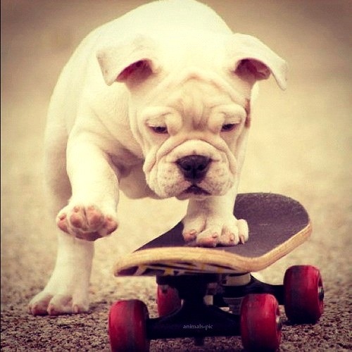 Don't worry. Be happy