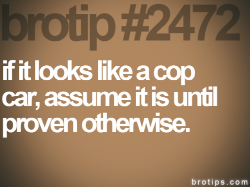 Porn photo brotips™