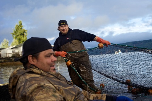 On Hood Canal, members of the Native American Skokomish (&ldquo;big river people&rdquo;) tribe pull 