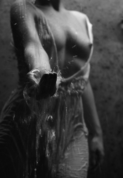 violadreamlover